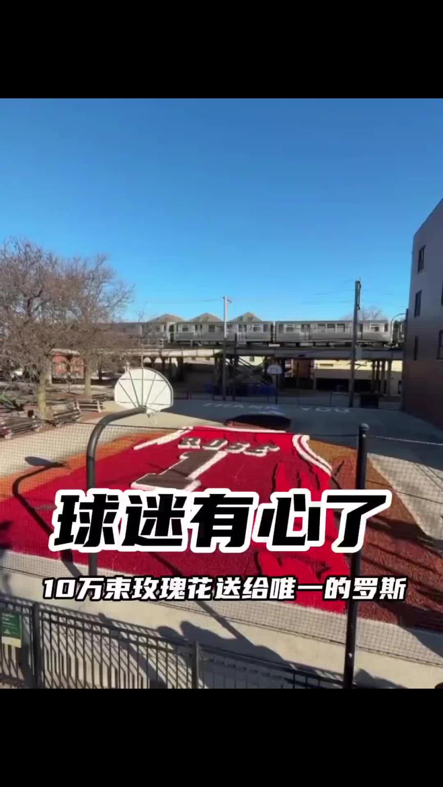 芝加哥當(dāng)?shù)厍蛎?0萬束玫瑰擺出風(fēng)城1號，慶祝羅斯之夜！
