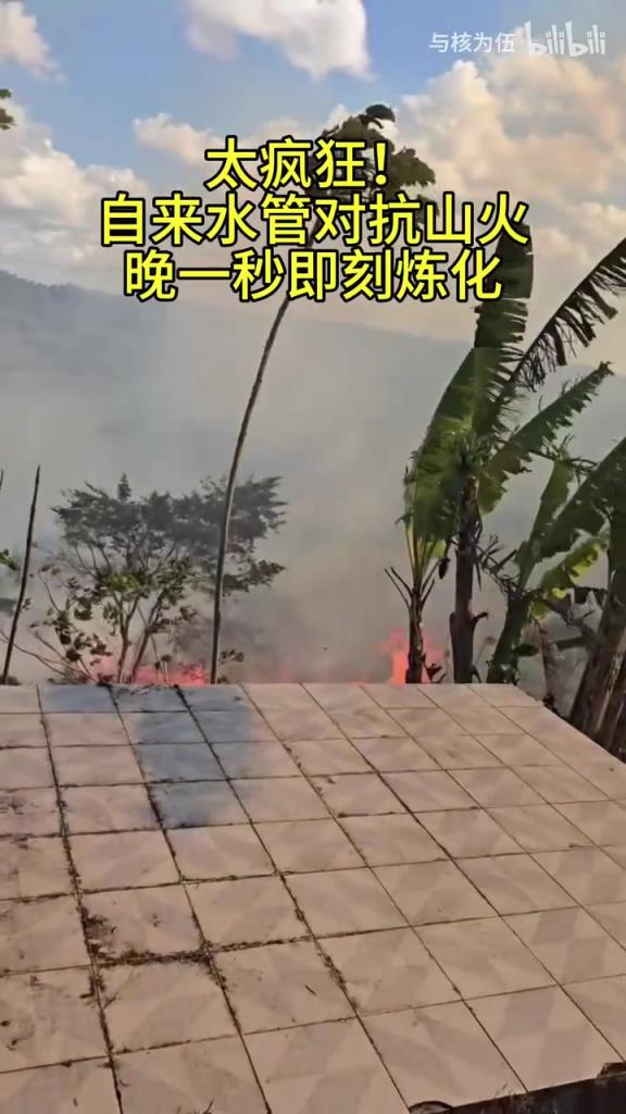 瘋狂！洛杉磯居民想用自來水水管澆滅山火，結(jié)果山火一瞬間燒上來