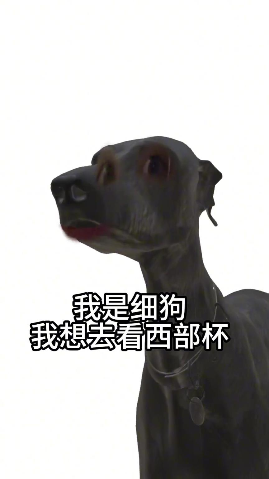 陜西聯(lián)合官方這么抽象的我是細狗我要看西部杯?。?></div>
<p>陜西聯(lián)合官方這么抽象的我是細狗我要看西部杯??！</p>
</a>
</li>
<li>
<a href=