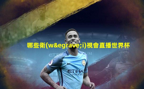 哪些衛(wèi)視會直播世界杯
