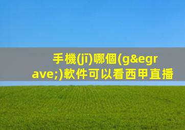 手機(jī)哪個(gè)軟件可以看西甲直播
